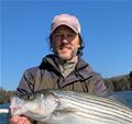 Lake Sidney Lanier Striper Club