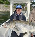 Lake Sidney Lanier Striper Club