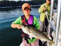 Lake Sidney Lanier Striper Club