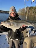 Lake Sidney Lanier Striper Club
