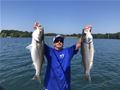 Lake Sidney Lanier Striper Club