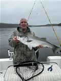 Lake Sidney Lanier Striper Club