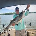Lake Sidney Lanier Striper Club