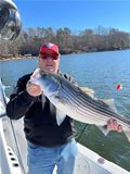 Lake Sidney Lanier Striper Club